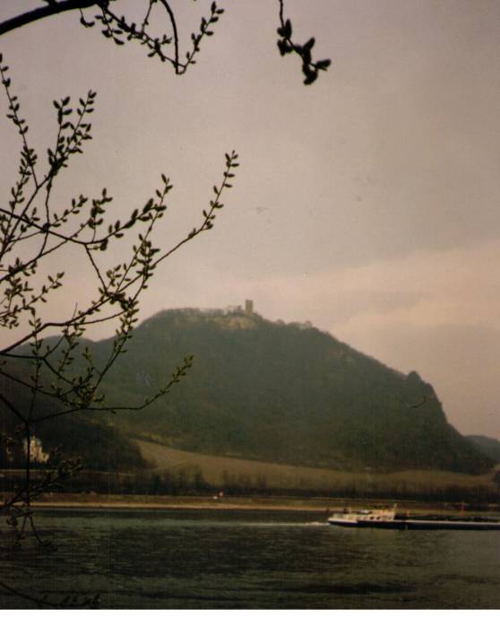 Drachenfels am Rhein